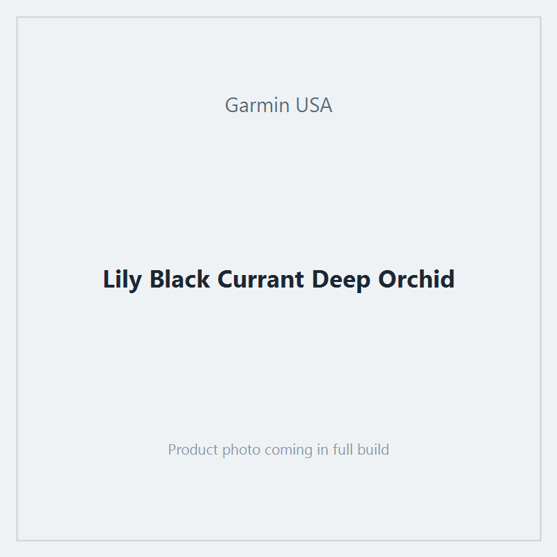 Lily Black Currant Deep Orchid